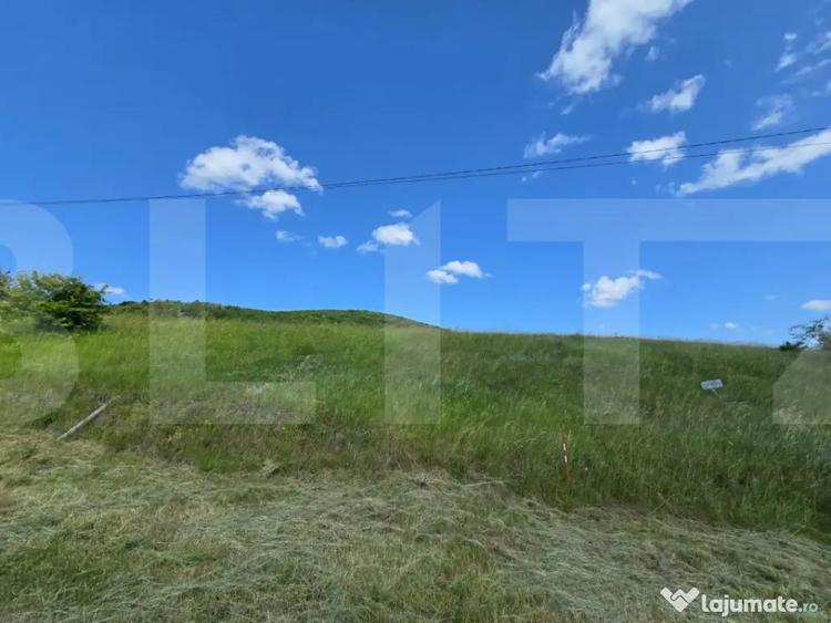 Teren de 5000 mp, în Ciurila