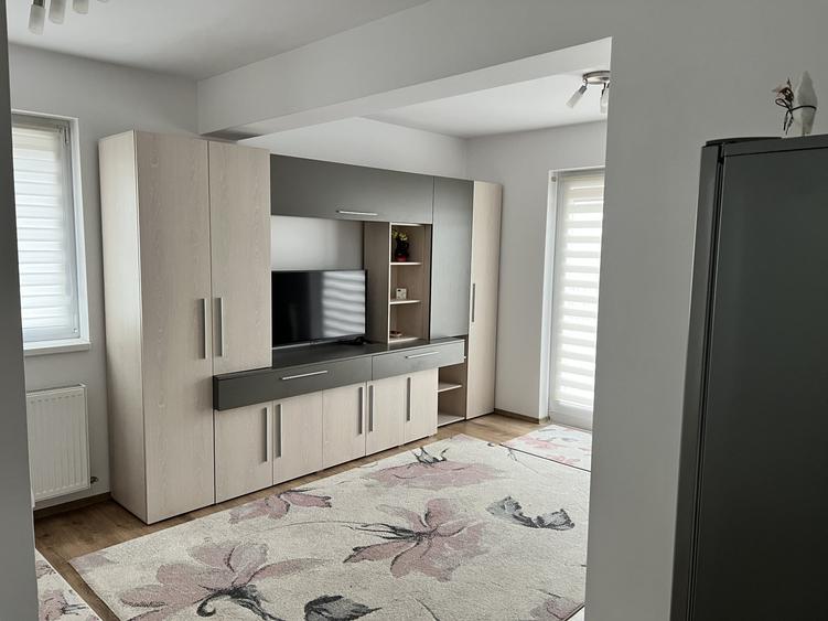 Apartament cu 2 camere nedecomandat, mobilat în Turnișor