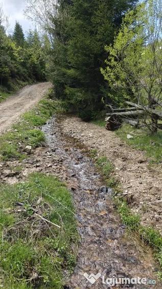 Vand teren intravilan in Bai?oara - 1