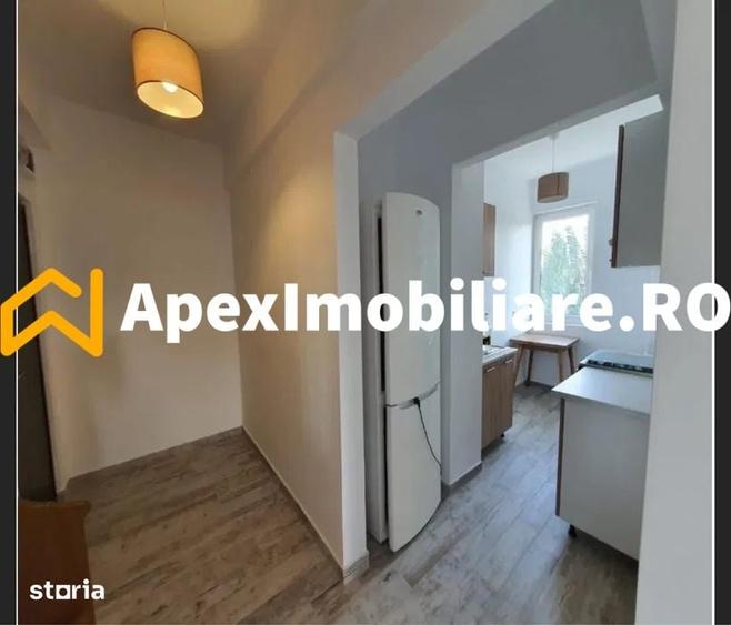 Ap 2 camere de inchiriat Splaiul Independentei Bucuresti, ApexImobilia - 4