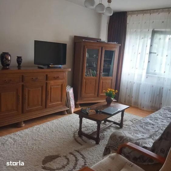 Apartament cu 2 camere decomandat în Craiovița Nouă