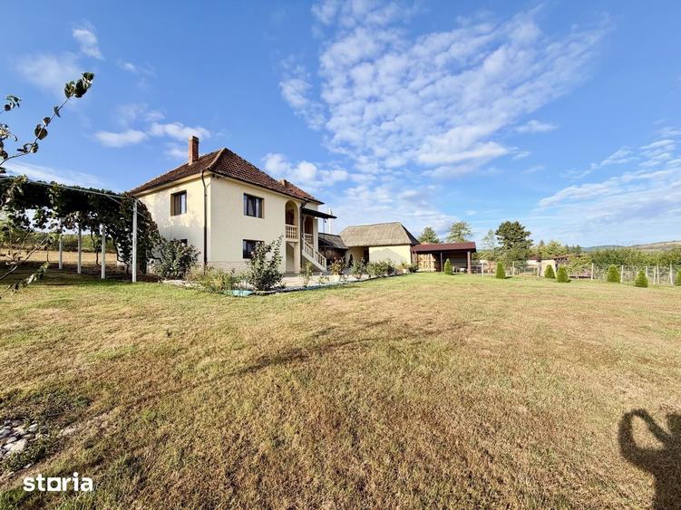 Casă cu 4 camere cu Teren 13000 Mp în Sâg