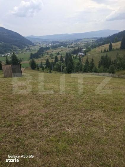 Teren de 30000 mp, în Șaru Dornei