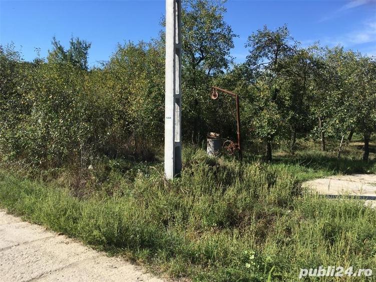 Teren de 1580 mp, în Bogați