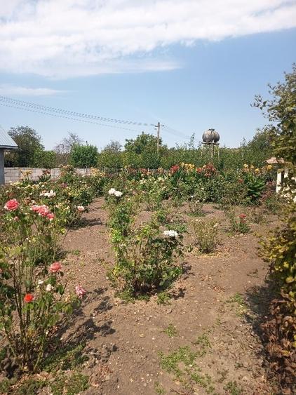 Casă individuală cu 4 camere cu Teren 2400 Mp în Traian