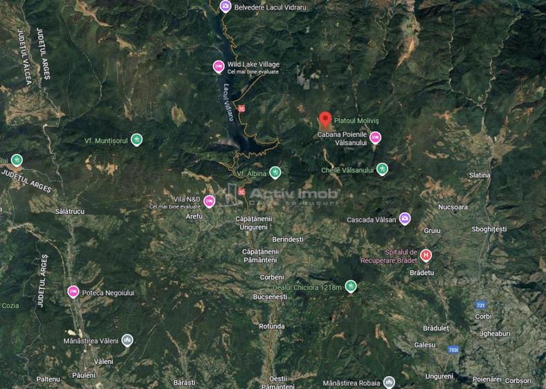 Teren 7 ha, Lac Vidraru, Podis Molivis - 5