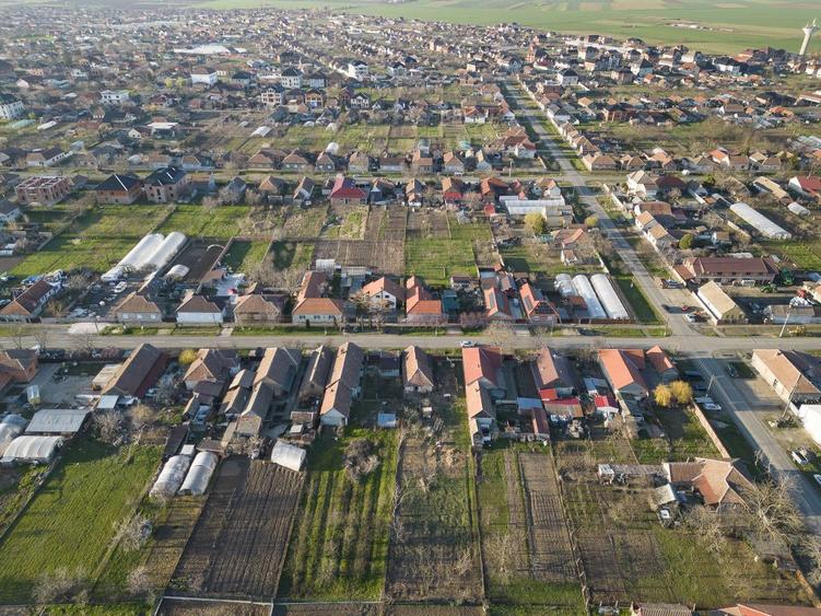 Teren in Curtici, Jud.Arad - 7