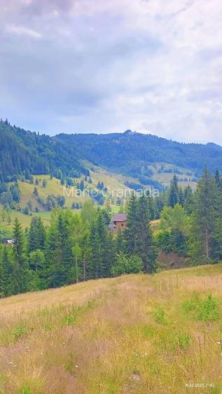 Teren intravilan ,extravilan Pojorata-Bucovina