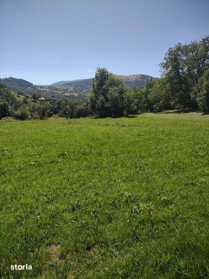 Teren de 1986 mp, în Poieni