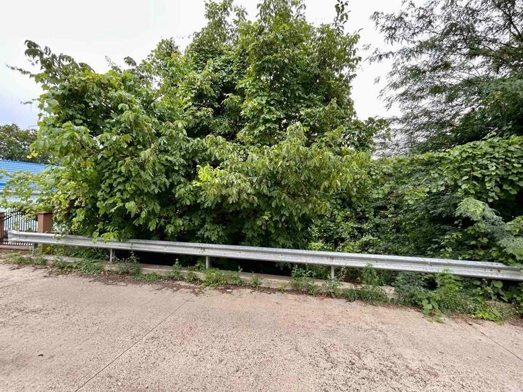 Teren intravilan Iasi 1.561 mp Bucium Plopii fără Soț Deschidere la 2 drumuri Oportunitate investiție - 5