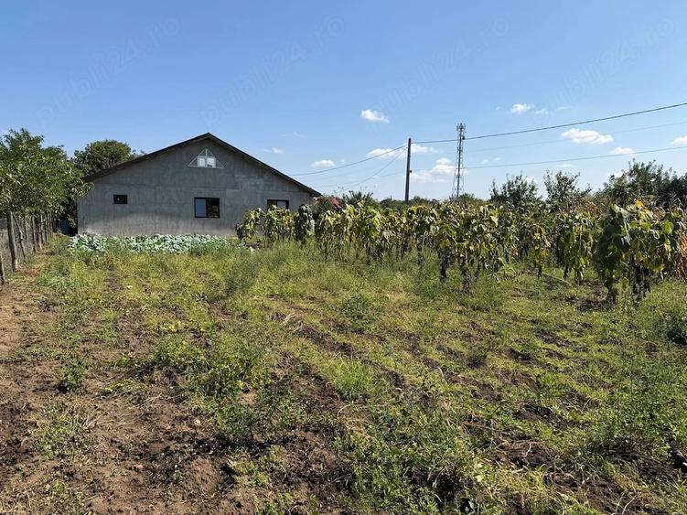Casă cu Teren 1244 Mp în Jilavele