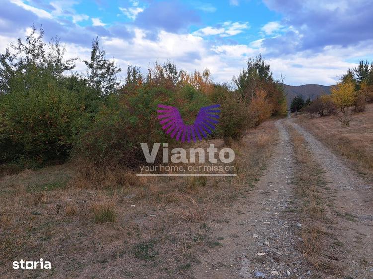 Teren de 1000 mp, în Central