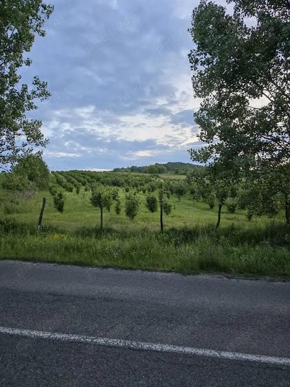Teren de 27000 mp, în Orașu Nou