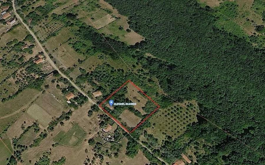 Casă cu 3 camere în Sfodea