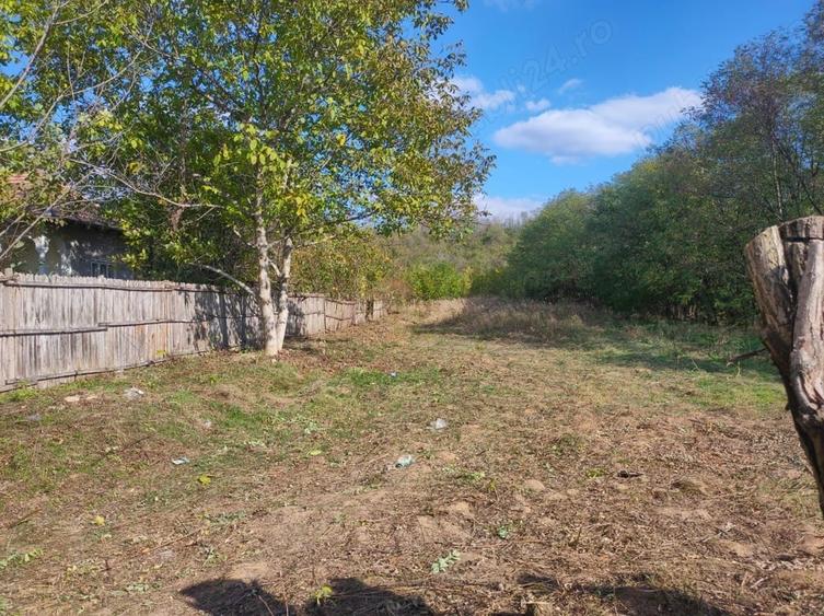 Teren de 7000 mp, în Drăgoești