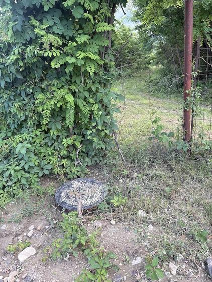 Teren de 5000 mp, în Pârscov