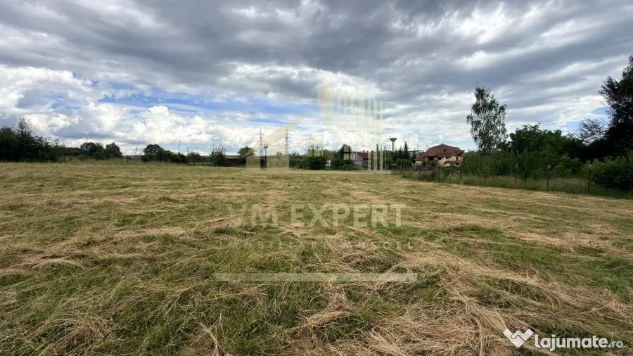 Casă cu 3 camere cu Teren 6997 Mp în Bughea de Sus
