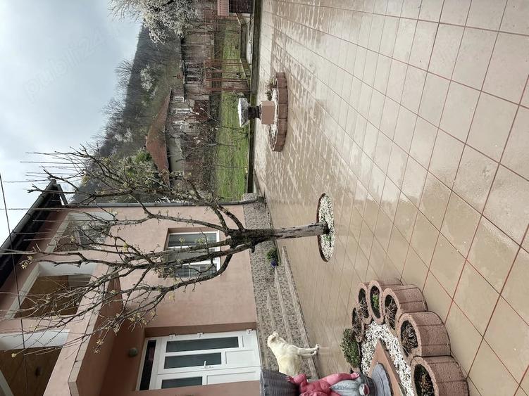 Casă cu Teren 450 Mp în Central