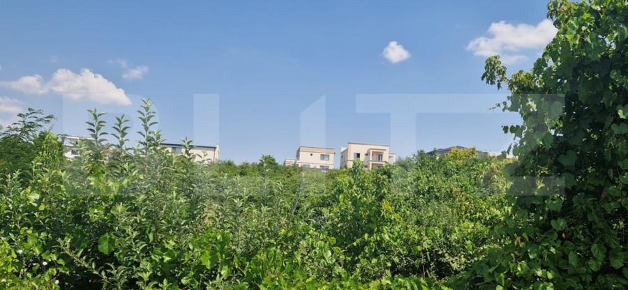 Teren de 9600 mp, în Cârcea