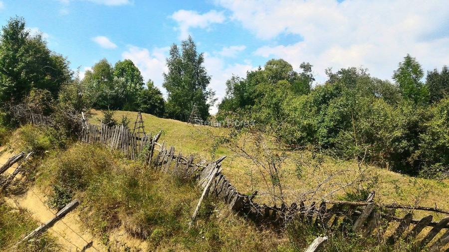 🌲 Vând Teren Extravilan Fâneață, 1522 mp – Arefu, Jud. Argeș (Zona Transfăgărăș