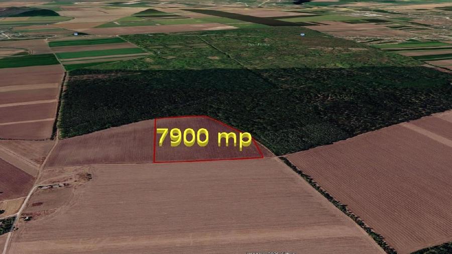 Teren agricol extravilan de 7900 mp, în Dascălu