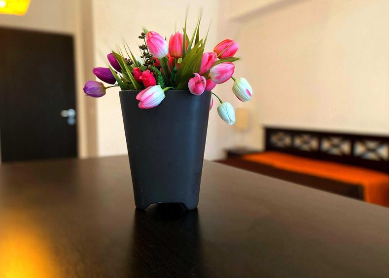 Apartament cu 2 camere decomandat în Nicolina