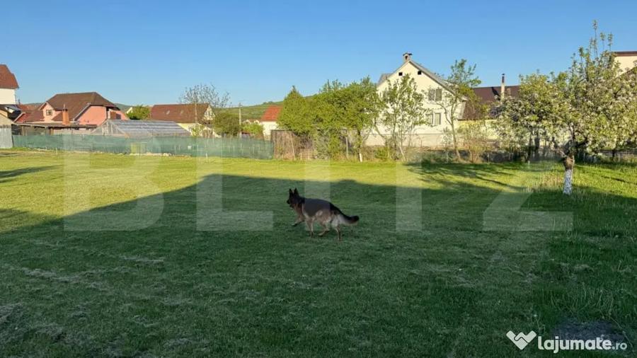 Teren intravilan de vanzare, 1500 mp - Bistrita - Parcelabil - 4