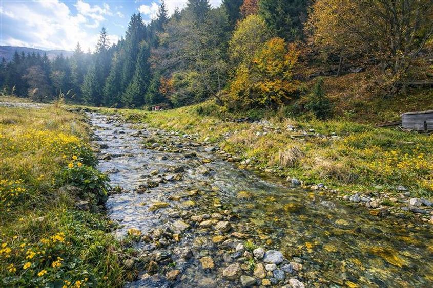 Teren intravilan de 4591 mp, în Plaiul Foii