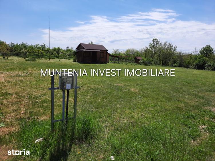 Teren de 630 mp, în Albota