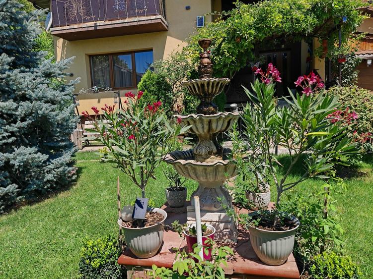Casă individuală cu 5 camere cu Canalizare în Șerbănești