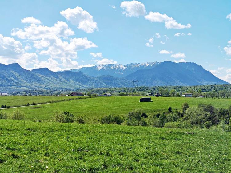 Teren Construcții intravilan de 5783 mp, în Bran