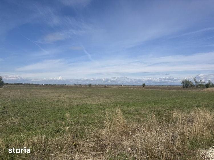 Teren de 3700 mp, în Rătești