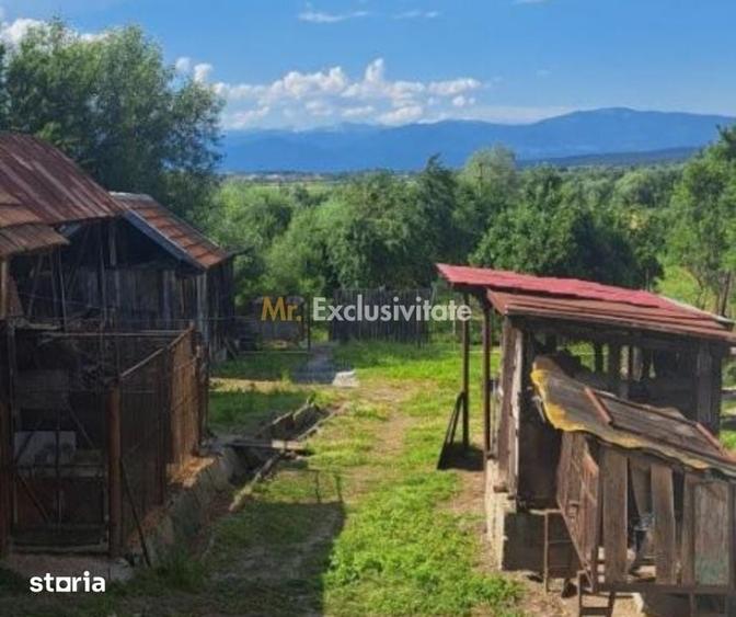 Casă cu 6 camere cu Teren 7661 Mp în Telești