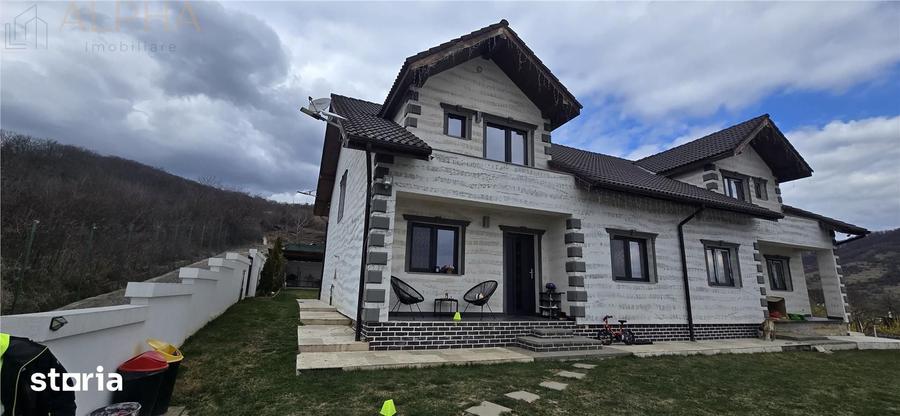 Casă cu 5 camere cu Teren 1450 Mp în Viișoara