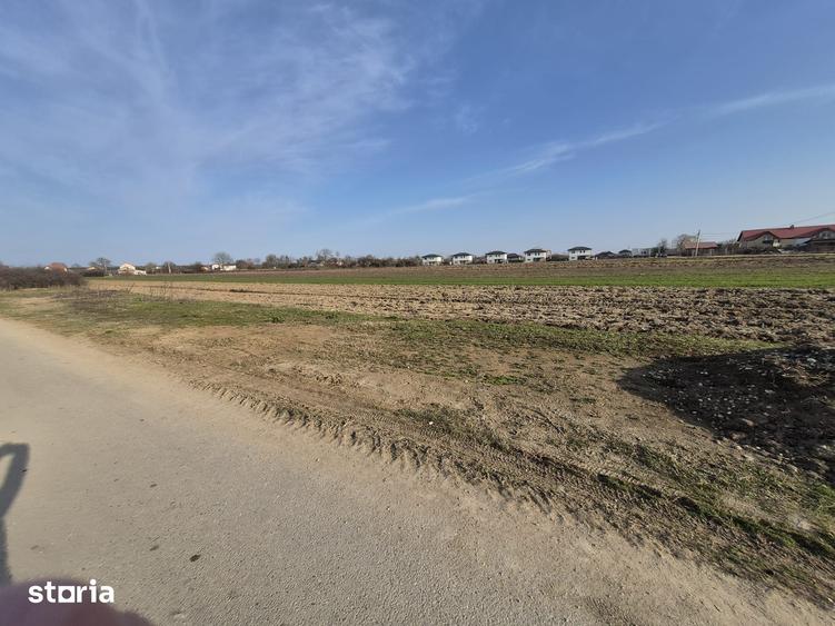 Teren de 4999 mp, în Tărtășești