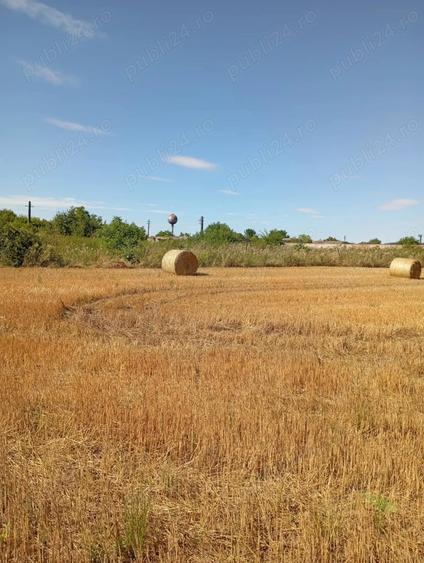 Teren de 63000 mp, în Halmeu