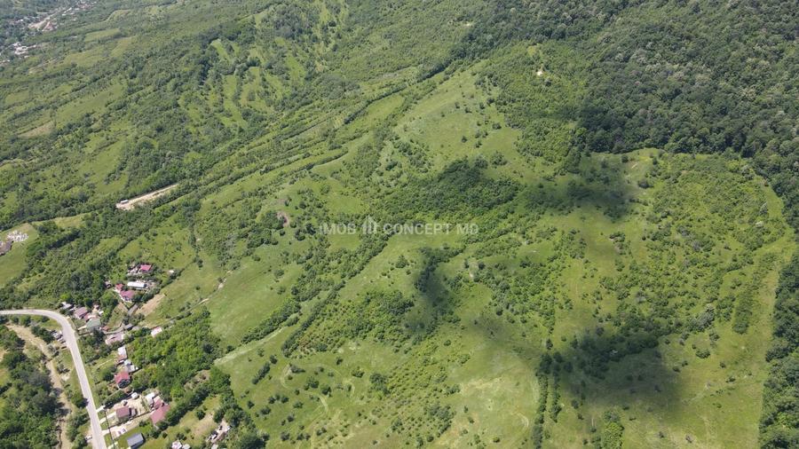 Teren agricol extravilan de 16189 mp, în Șoimari