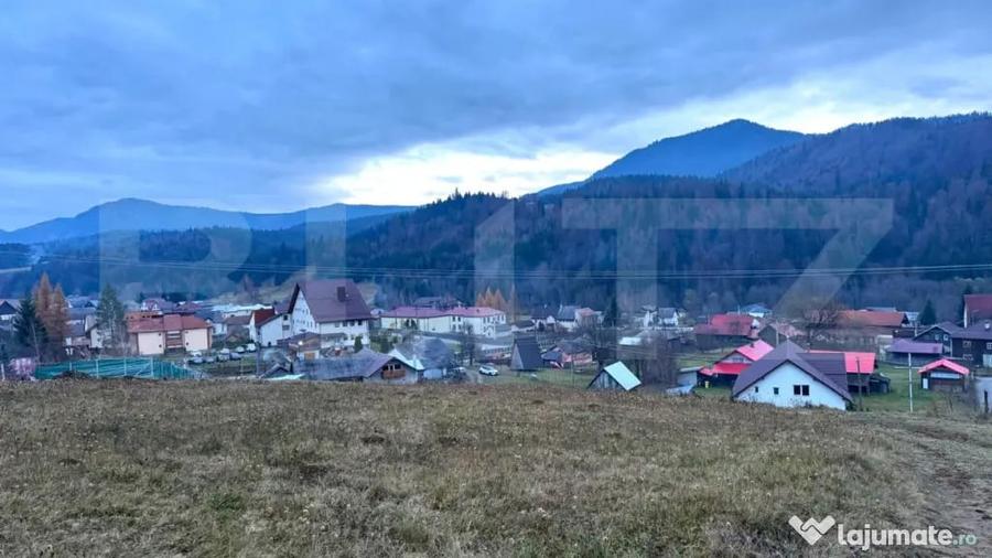 Teren de 2500 mp, în Colibița