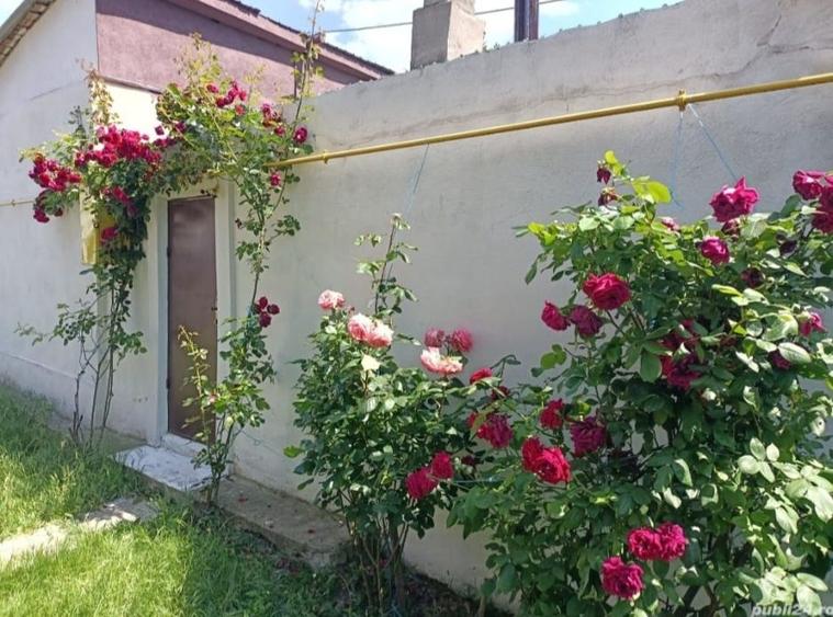 Garsonieră în Central