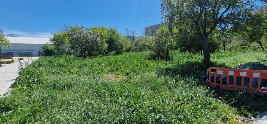 Teren Construcții intravilan de 2488 mp, în Inel II