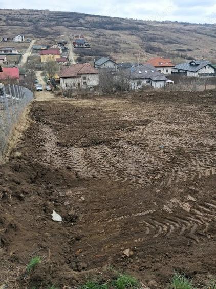 Teren de 1350 mp, în Dorobanț