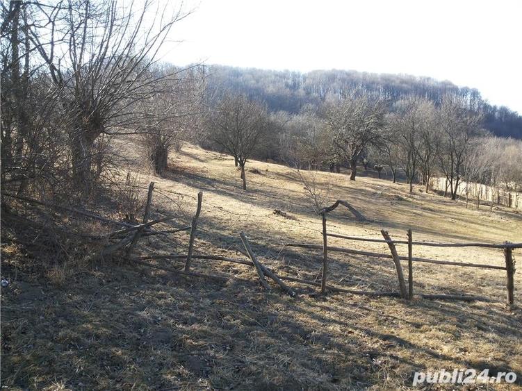 Teren de 12500 mp, în Câmpulung Muscel
