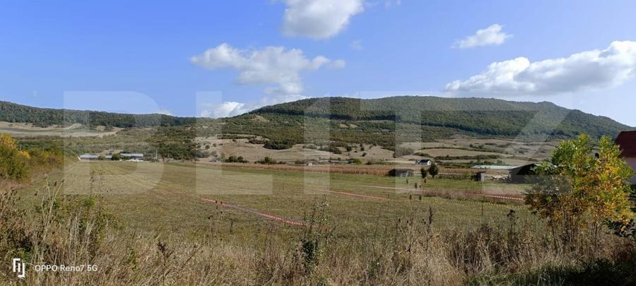 Teren Construcții intravilan de 4900 mp, în Exterior Sud