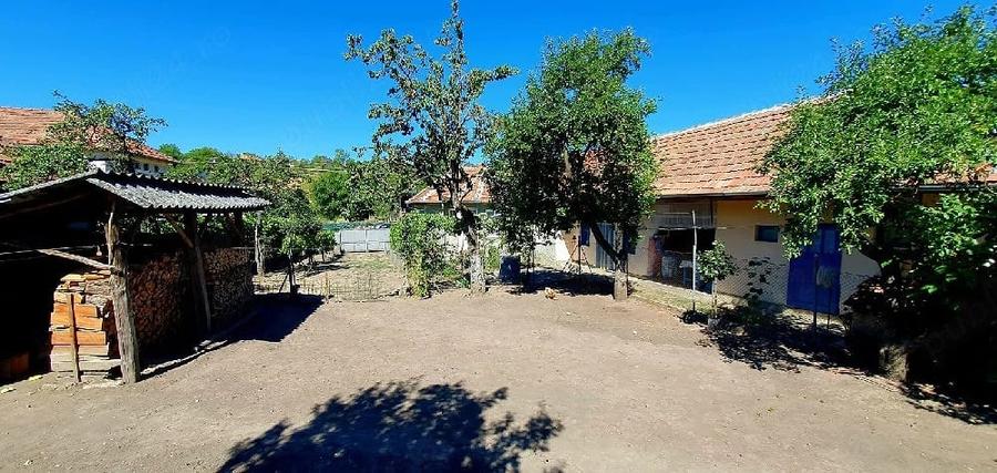 Casa cu gradina de 4000 mp in Carastelec - 4