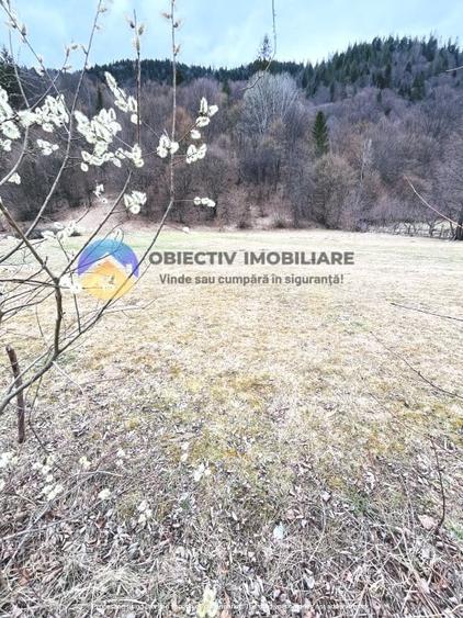 Teren intravilan de 2207 mp, în Tarcău