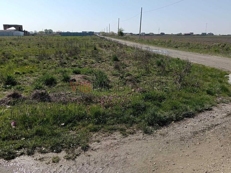 Terenuri de vânzare | Săcălaz|  oportunități investiționale - 4