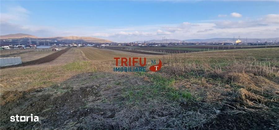 Teren de 1453 mp, în Bărăbanț