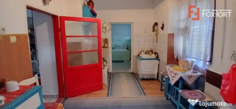 Casă cu 3 camere cu Teren 1500 Mp în Satchinez
