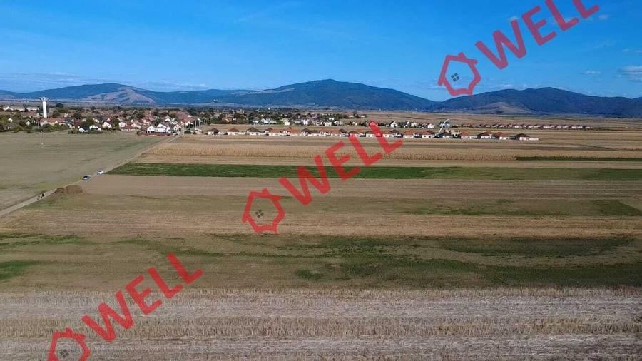 Teren agricol extravilan de 10000 mp, în Prejmer