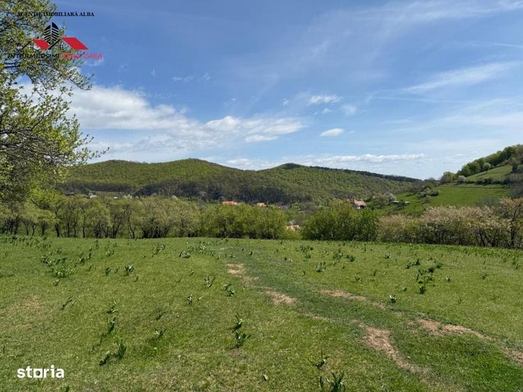 Spațiu comercial, în Valea Vințului